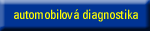 Automobilov diagnostika